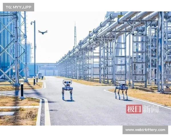 无人机巡检团队协同地面机器狗，场馆安全监控实现立体化覆盖